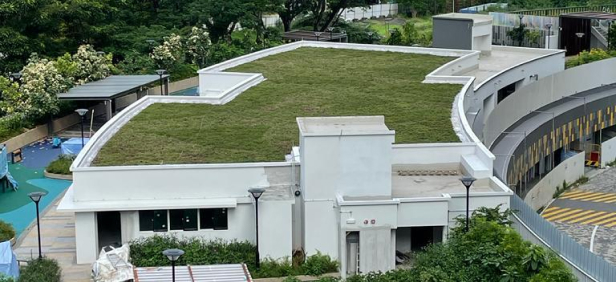 Proj_GR_Image22
