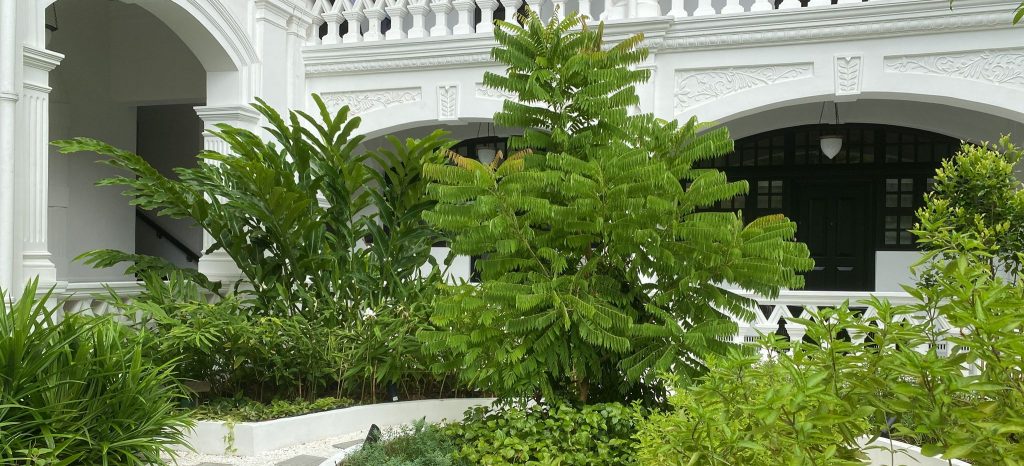 Permaculture @ Raffles Hotel
