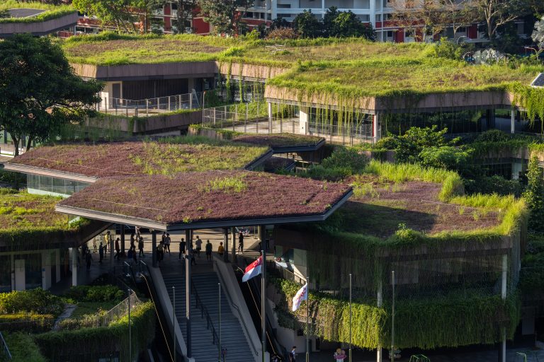 Bukit Canberra Green Roof Singapore